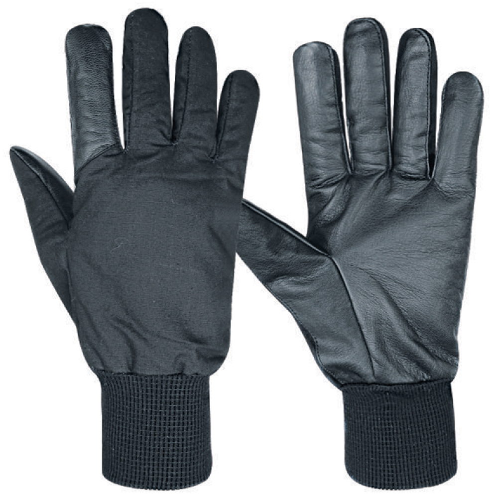 Winter Gloves